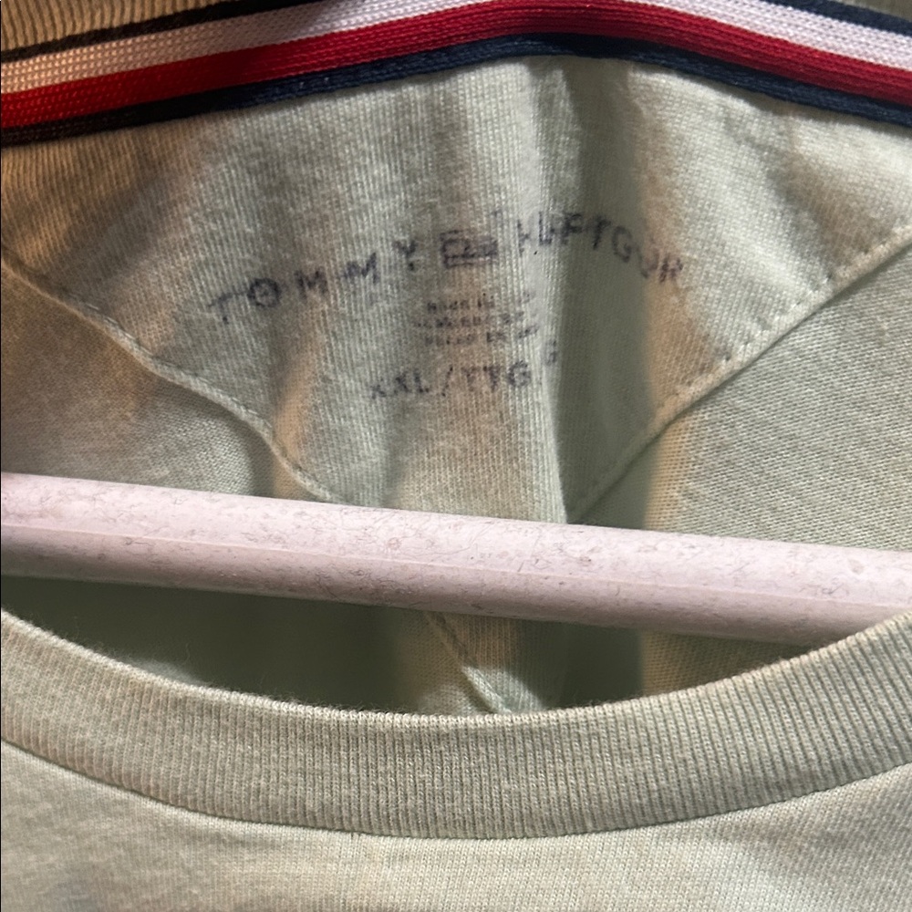 Tommy Hilfiger Classic Seafoam Green Cotton T-Shirt - Picture 2 of 7